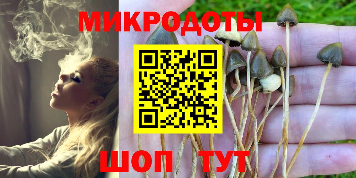 Псилоцибиновые грибы прущие грибы Нурлат