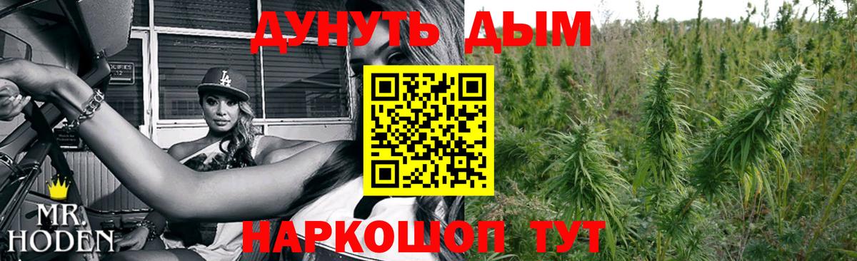 Конопля Amnesia  Конопля гибрид  Бошки марихуана Amnesia  Вход с VPN  Нурлат 